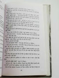 Dhupp Chhaan te Rukh Punjabi fiction novel by Dalip Kaur Tiwana Panjabi b5 new