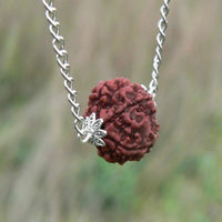 8mm Fashion brown round Rudraksha 925 silver beads Necklace Wristband Chain Calming Bless Diy Chakra Christmas Relief Healing