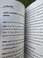 Punjabi Samaj Vich LGBTQIA++ Pehchaan te Savaal Mohan Singh Aulakh book B40 New