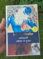 Sadhguru Inner Engineering A Jogi's Guide to Joy Punjabi book Literature B67 New