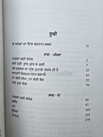 Sadhguru Inner Engineering A Jogi's Guide to Joy Punjabi book Literature B67 New