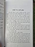 Charay Turang Udavay Baaz Novel Jagdeep Singh Punjabi book Panjabi Literature MH