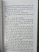 Charay Turang Udavay Baaz Novel Jagdeep Singh Punjabi book Panjabi Literature MH