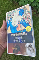Sadhguru Inner Engineering A Jogi's Guide to Joy Punjabi book Literature B67 New