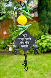 Hindu Nazar Battu Nimbu Mirchi Suraksha Safety Evil Eye Protection Shield TTT8