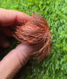 Giddar Singhi Jackal Horn Siyar ritual Wicca Pagan Magic black amulet evil eye S