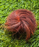 Giddar Singhi Jackal Horn Siyar ritual Wicca Pagan Magic black amulet evil eye S