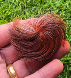 Giddar Singhi Jackal Horn Siyar ritual Wicca Pagan Magic black amulet evil eye S