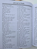 Hikmat Di Lajawab Pustak Desi Gharelu Nuskhe Herbal Remedies Punjabi Book MD22