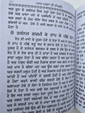Hikmat Di Lajawab Pustak Desi Gharelu Nuskhe Herbal Remedies Punjabi Book MD22