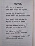 Jinday Meriay Punjabi Gurmukhi Poetry Book J.P. Chahal Poet Panjabi Poems New MD