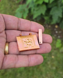 Taweet Locket Pendant Om Hanuman Talisman Evil Eye Nazar Protection Hindu TTT21