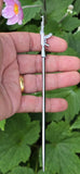 Sikh Baaj Gold Silver Plated Stainless Steel Turban Salai Dumalla Patka Dastar Pagri Keski Hair Tucking Needle CC57