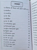 Ayurved De Prasidh Chooran Punjabi Gurmukhi Herbal Remedies Health Book