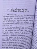 Mindset: Shaflta Da Nava Manovigyan by Dr Carol S Dweek Punjabi Translation Book
