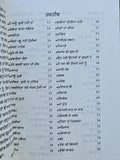Main Sau Kudi Nahi Haan Punjabi Poetry Book Brar Jessy Punjabi Kavita Collection