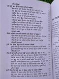 Mahan Sufi Pir Budhu Shah Saduora Punjabi Gurmukhi Book Panjabi Sikh Literature