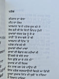 Main Sau Kudi Nahi Haan Punjabi Poetry Book Brar Jessy Punjabi Kavita Collection