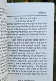 Ghade Ch Dabbi Izzat Punjabi Story Book Brar Jessy Family Social Stories Panjabi