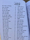 Nirogi Sareer Punjabi Ayurvedic Health Book Natural Remedies Herbal Treatments
