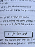 Nirogi Sareer Punjabi Ayurvedic Health Book Natural Remedies Herbal Treatments