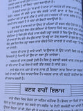 Nirogi Sareer Punjabi Ayurvedic Health Book Natural Remedies Herbal Treatments