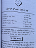 Nirogi Sareer Punjabi Ayurvedic Health Book Natural Remedies Herbal Treatments