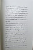 Light Beneath the Fever Sky Historical Coming of Age Story Satnam Rakhra English