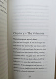 Light Beneath the Fever Sky Historical Coming of Age Story Satnam Rakhra English