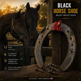 Black Horse Shoe Kala Ghode di Naal Iron Hindu Lucky Shani Dev Evil Eye Shield OJ1