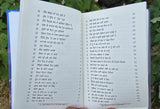 Kujh Bandian De Naa Vi Sohne Lagde Ne Irshad Sandhu Punjabi Poetry Book Panjabi MO