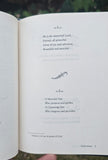 Zafarnama Guru Gobind Singh Navtej Sarna English Persian Farsi Sikh Book New MO