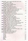 Gurbilas Patshahi Dasmin Tenth Guru Bhai Sukha Singh Punjabi Gurmukhi Book GG Panjabi Dr. Manvinder Singh