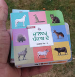 Punjabi Pictorial Learning Books Set 10 Board Books Punjabi Children Education M