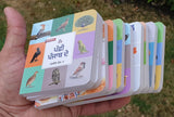Punjabi Pictorial Learning Books Set 10 Board Books Punjabi Children Education M