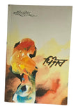 Pinjar Novel Amrita Pritam Punjabi Famous Fiction Panjabi Book Paperback B65 New