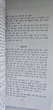 Pinjar Novel Amrita Pritam Punjabi Famous Fiction Panjabi Book Paperback B65 New