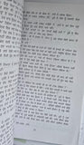 Pinjar Novel Amrita Pritam Punjabi Famous Fiction Panjabi Book Paperback B65 New