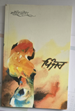 Pinjar Novel Amrita Pritam Punjabi Famous Fiction Panjabi Book Paperback B65 New
