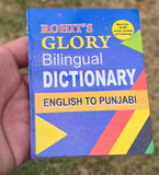 New Style English Speaking Course Punjabi + FREE English Punjabi Dictionary STR