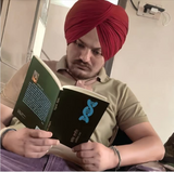 Blood Line Punjabi Novel Manjinder Makha Punjabi Gurmukhi Literature Book ST New