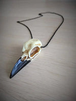 Raven Skull Necklace Halloween Jewelry Gothic Necklace, Raven Jewellery Gift Idea Spooky Scary Plague Doctor Witch