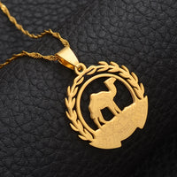 Anniyo Eritrea Map Flag Pendant Necklaces Chain Women Girls,Map of Eritrea Gold Color Jewelry African Necklace Ethiopia #109921