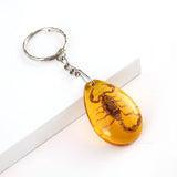 Insect Specimen Amber Keychain Resin Scorpion Crab Car Key Bag Keychain Hanging Ornament Natural Insect Pendants Gift 2025