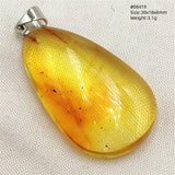Natural Insect Amber Water Drop Pendant Flower Yellow Amber Insect Necklace Baltic Women Men Jewelry Stone AAAAAAA