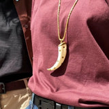 Double-sided horn pendant necklace