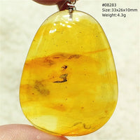 Natural Insect Amber Water Drop Pendant Flower Yellow Amber Insect Necklace Baltic Women Men Jewelry Stone AAAAAAA