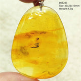 Natural Insect Amber Water Drop Pendant Flower Yellow Amber Insect Necklace Baltic Women Men Jewelry Stone AAAAAAA
