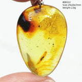 Natural Insect Amber Water Drop Pendant Flower Yellow Amber Insect Necklace Baltic Women Men Jewelry Stone AAAAAAA