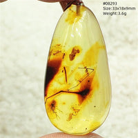 Natural Insect Amber Water Drop Pendant Flower Yellow Amber Insect Necklace Baltic Women Men Jewelry Stone AAAAAAA
